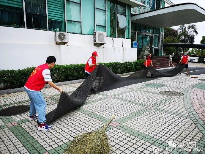 氣象局最新臺風(fēng)動態(tài)分析與實時更新報告