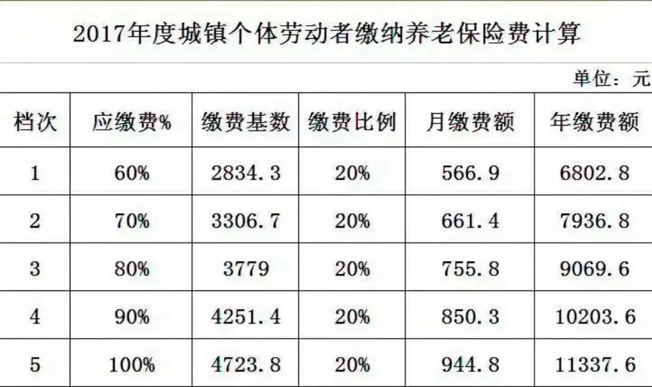 山東社保最新繳費(fèi)基數(shù)背后的愛與陪伴的溫馨故事