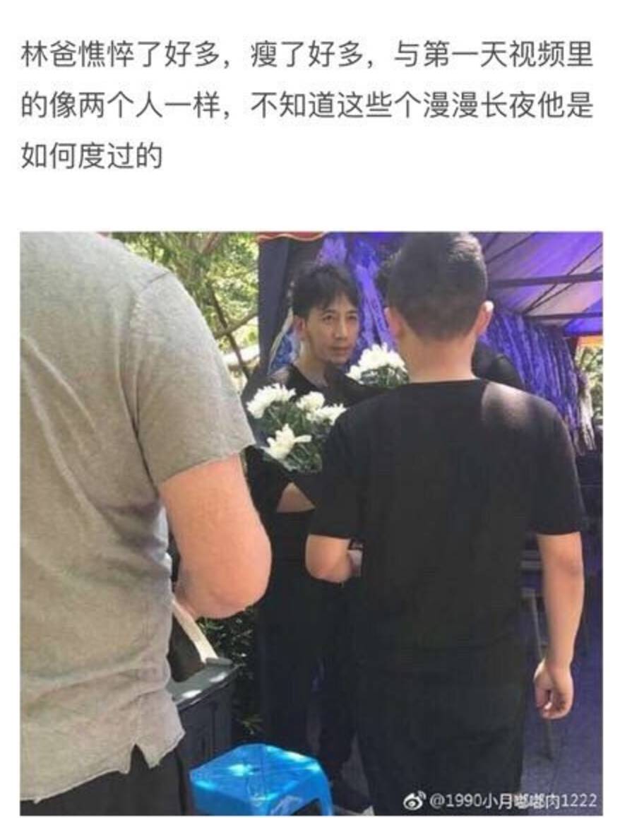 林爸爸忙碌而充實(shí)的生活點(diǎn)滴，最新動態(tài)揭秘！