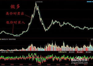 股票入門解析，股票定義與入門指南