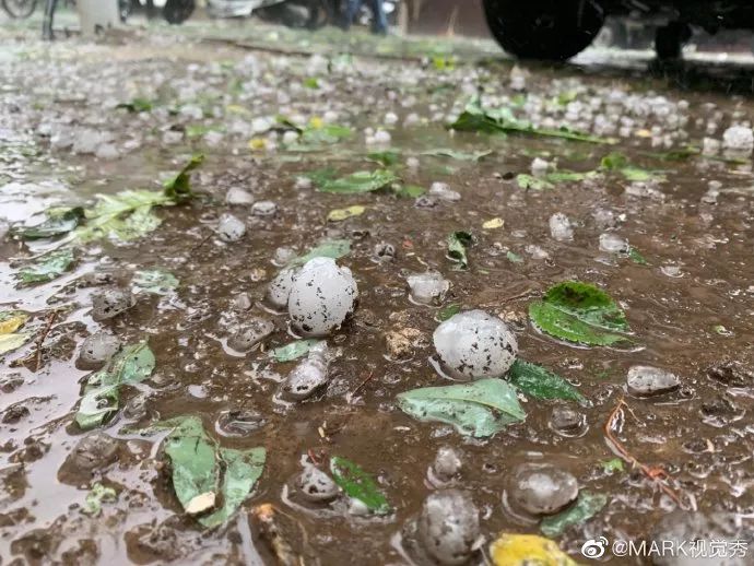 最新大雨冰雹