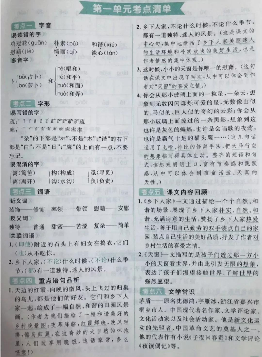 最新小學語文資料包，一站式解決學習難題！